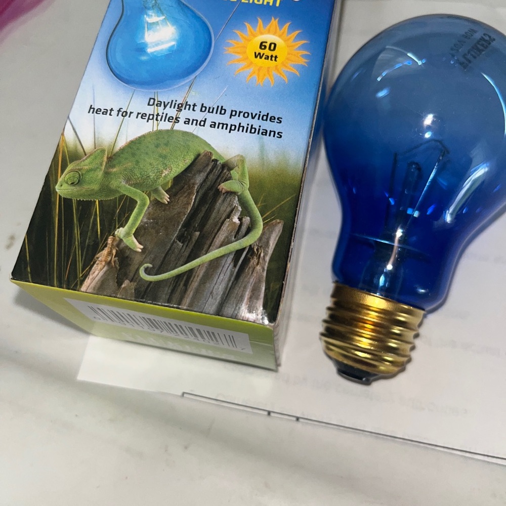 Flukers Professional Series Daytime Blue Heating Light For Reptile - 60 Watt